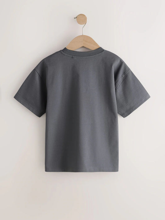 Charcoal Dino Embroidery Short Sleeve Graphic T-Shirt (3-16yrs)