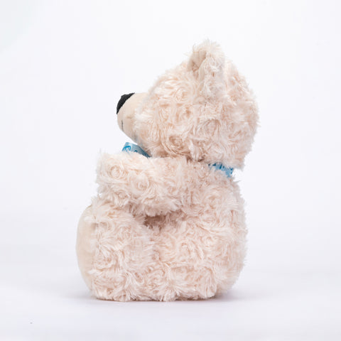 TeddyBoo