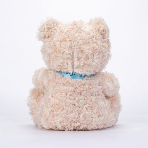 TeddyBoo