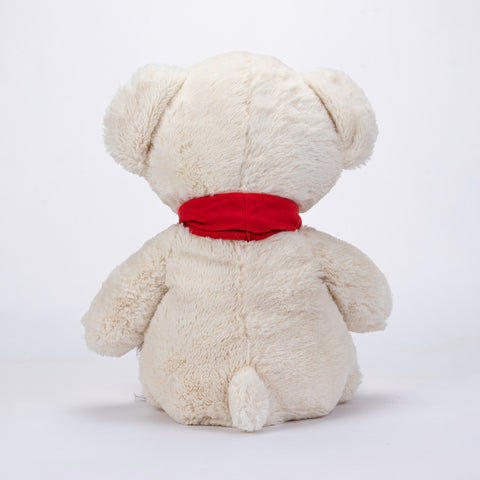 TeddyBear