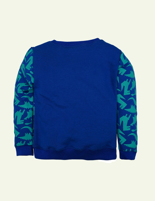 Dino Graphic Sweatshirt