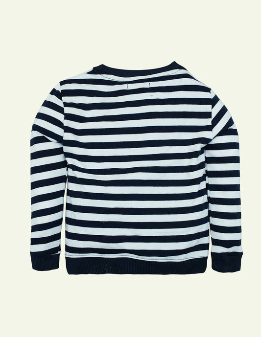 Striped Camera Graphic Sweatshirt