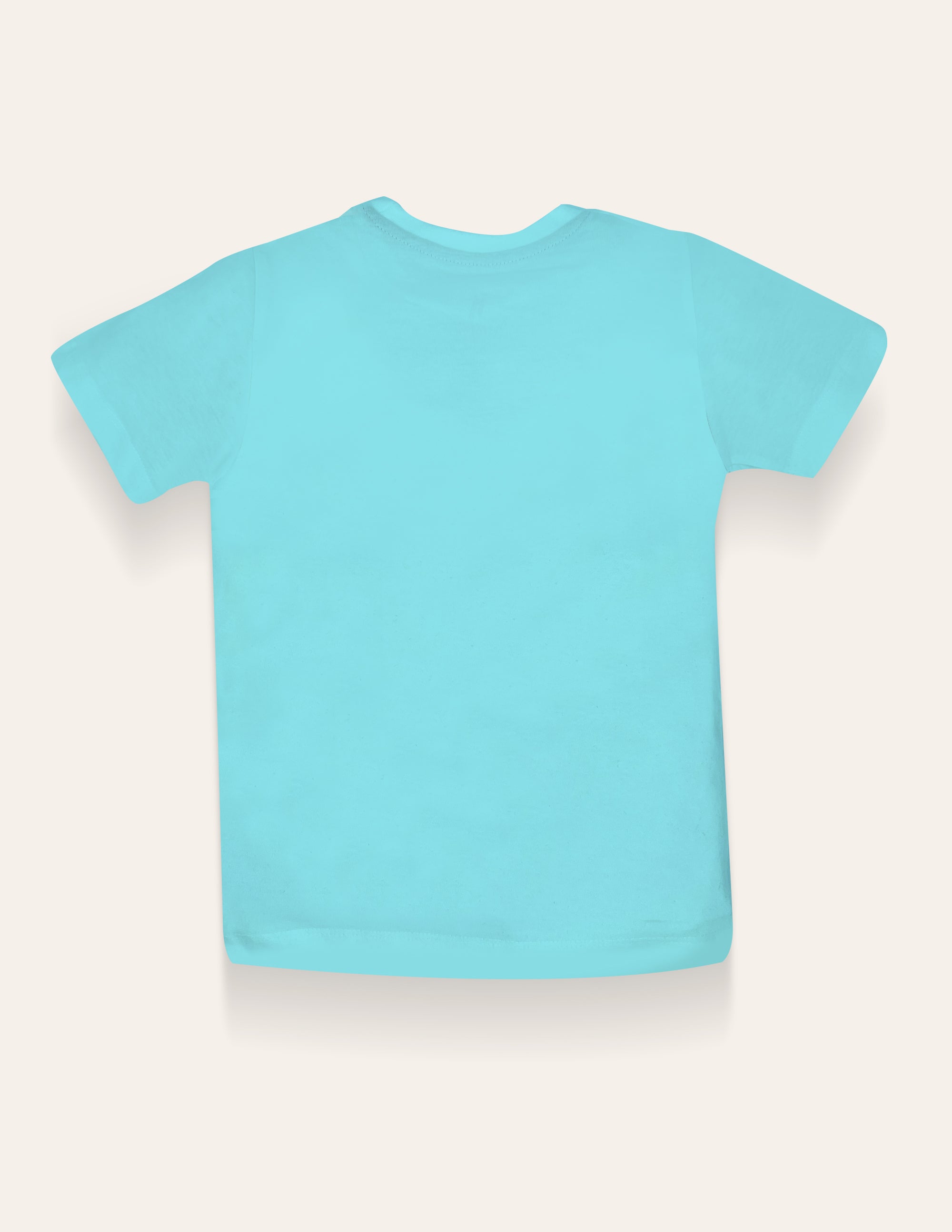 Boys Aqua Printed T-Shirt