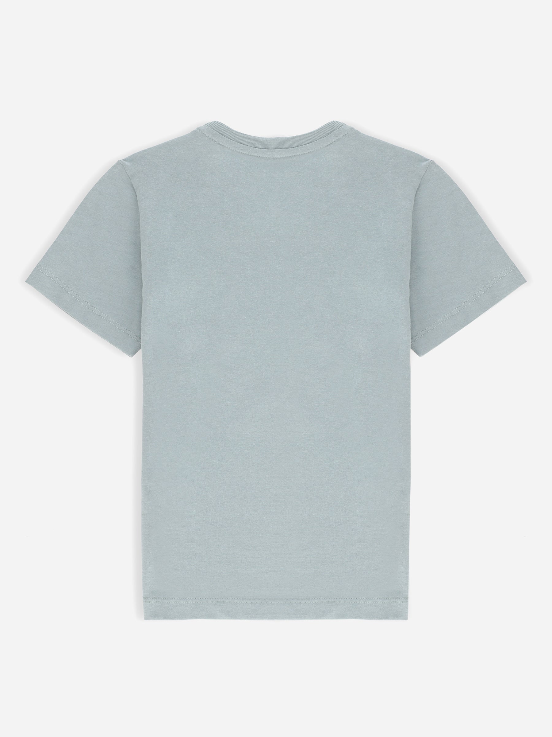 Sage Green Basic Crew Neck Casual T-Shirt Brumano Pakistan