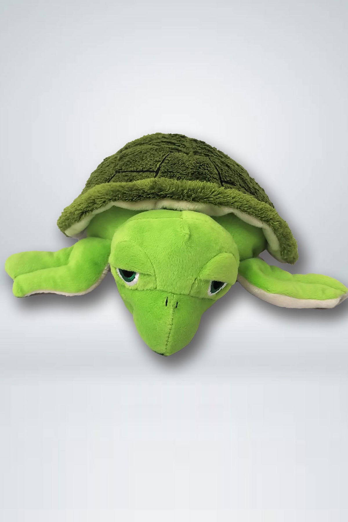 Ziqi - Turtle